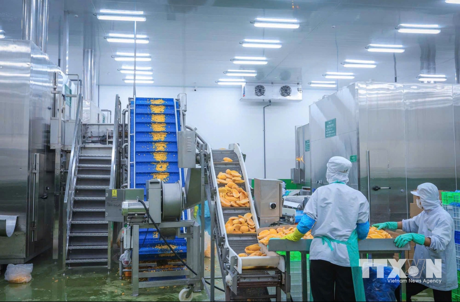 Hệ thống dây chuyền hiện đại được nhập từ Châu Âu cùng công nghệ tự động hóa tiên tiến giúp nhà máy WestFood đạt công suất 30.000 tấn thành phẩm/năm. (Ảnh: Hoàng Hiếu/TTXVN)